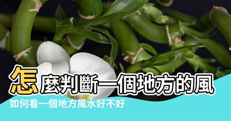 菜刀地風水|【菜刀地風水】菜刀地風水：一招決勝負，毀三代、保富貴！